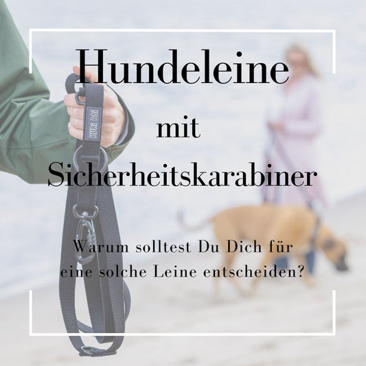 Sicher unterwegs mit der Hundeleine und dem Sicherheitskarabiner