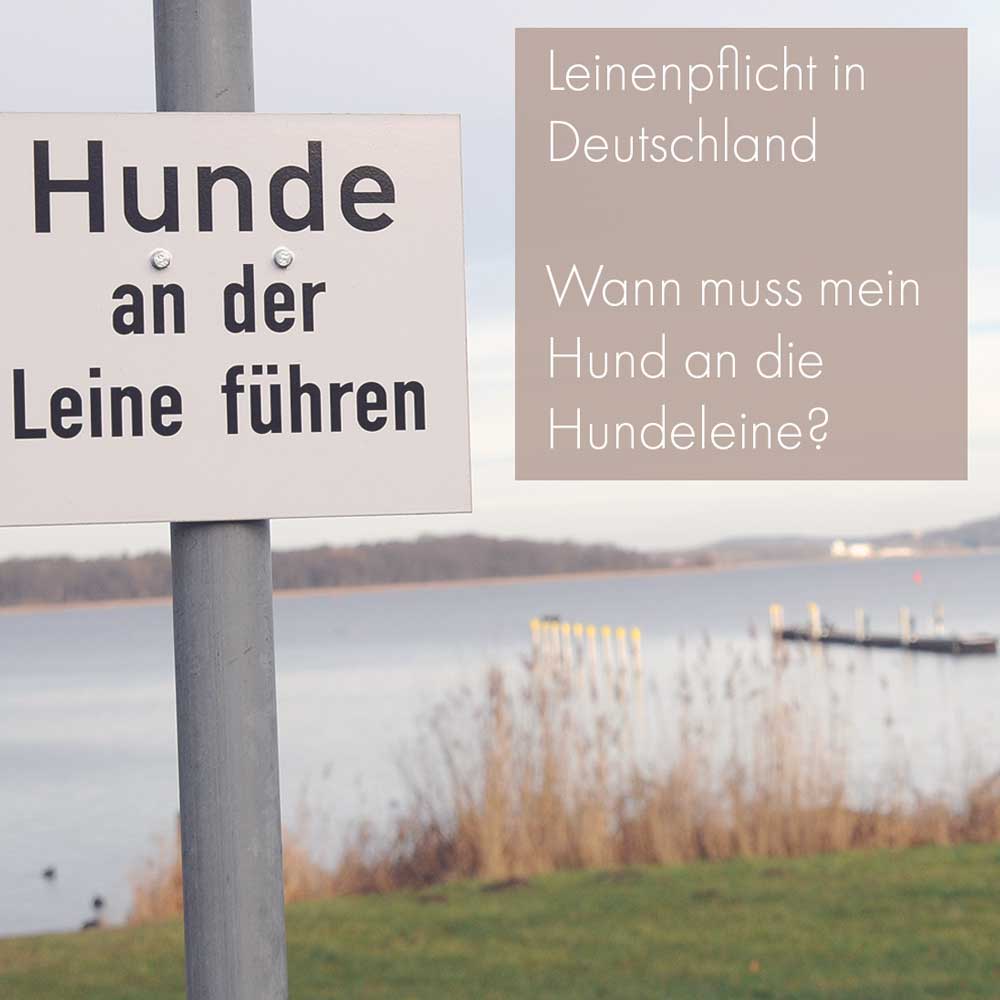Leinenpflicht in Deutschland - Wann muss mein Hund an die Hundeleine?