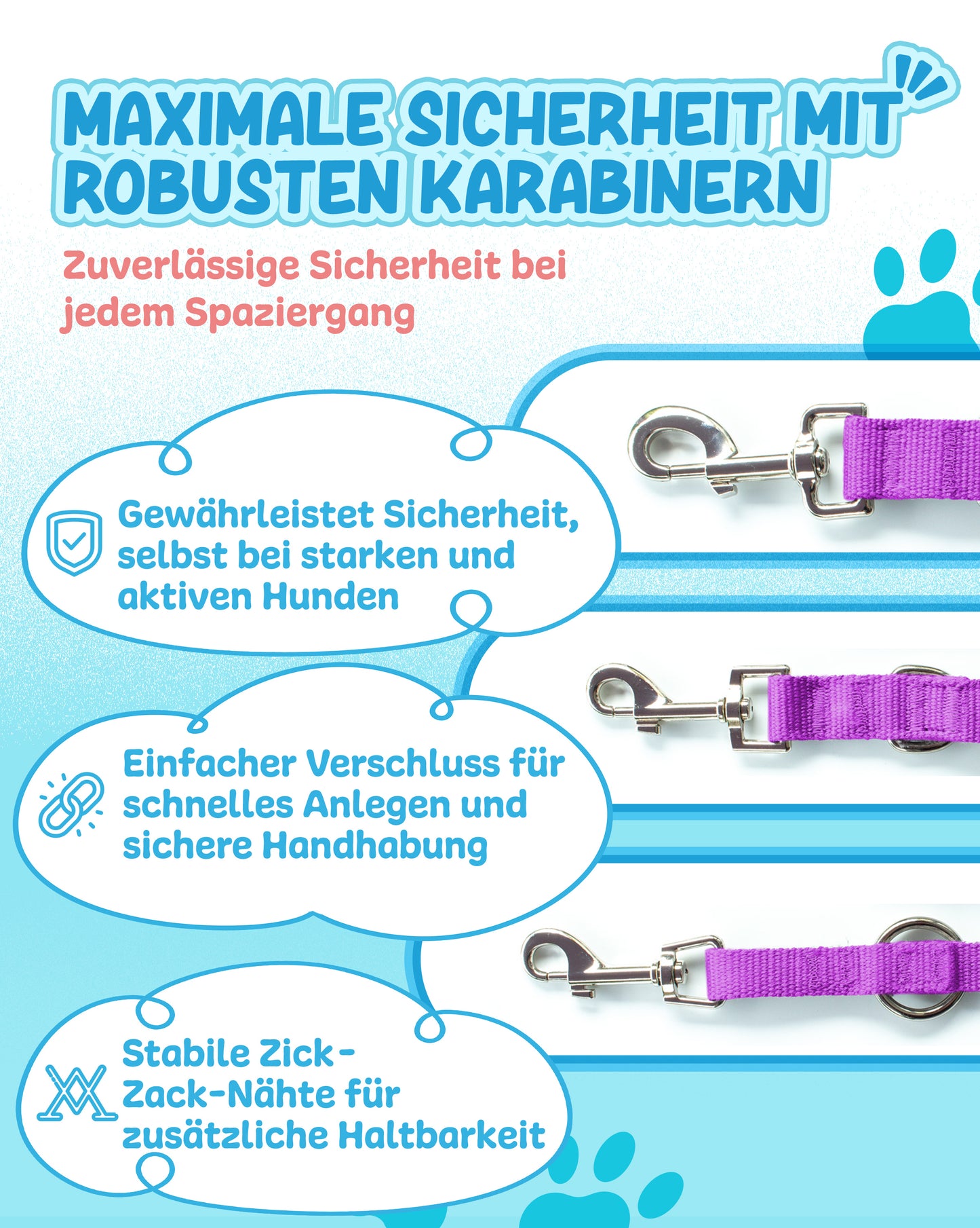 Veilchenflitzer