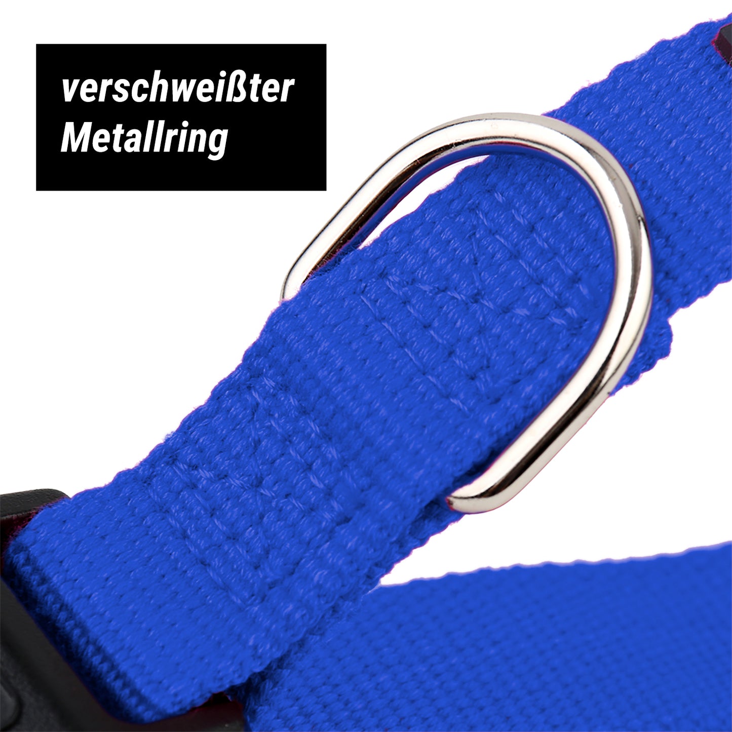 Hundehalsband, blau