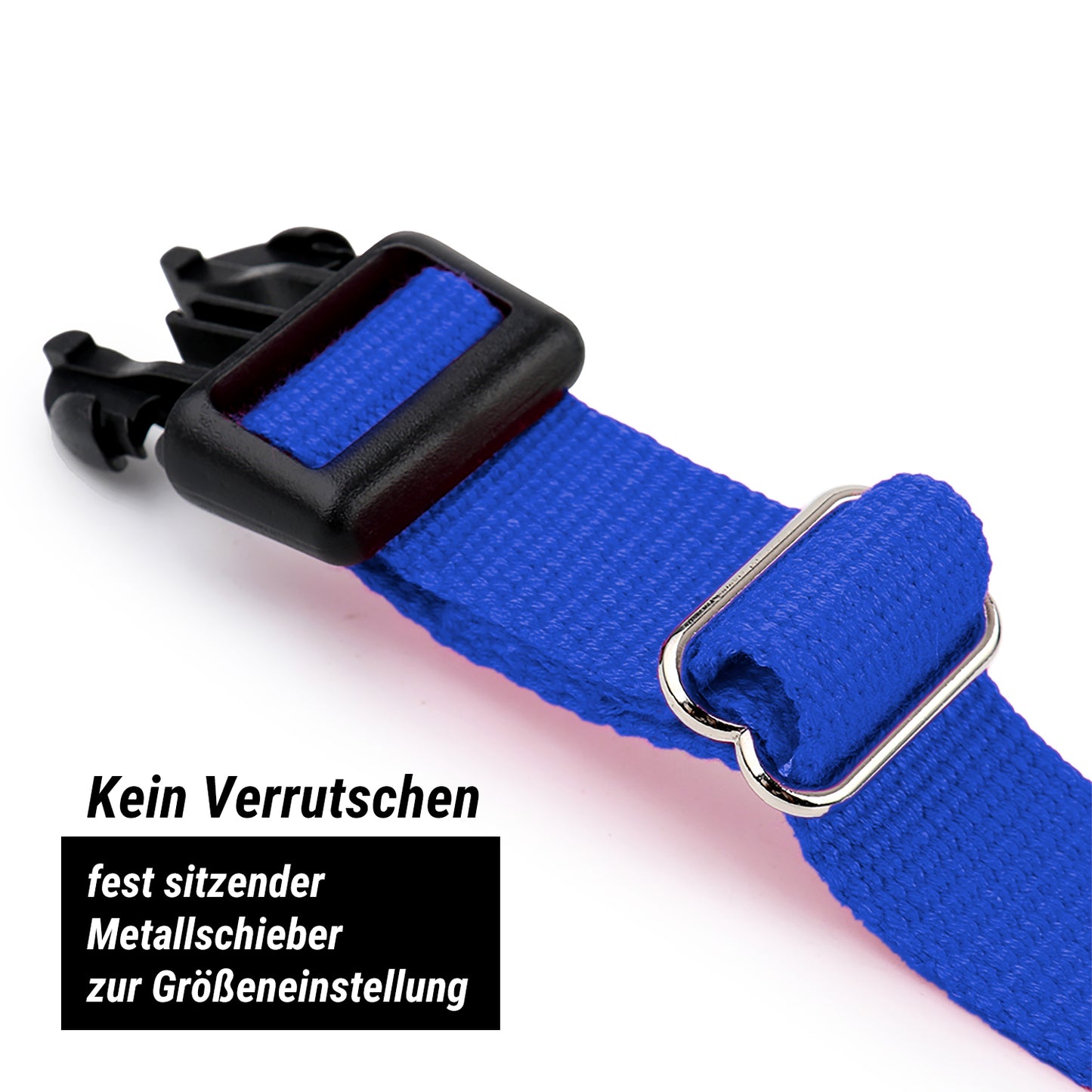 Hundehalsband, blau
