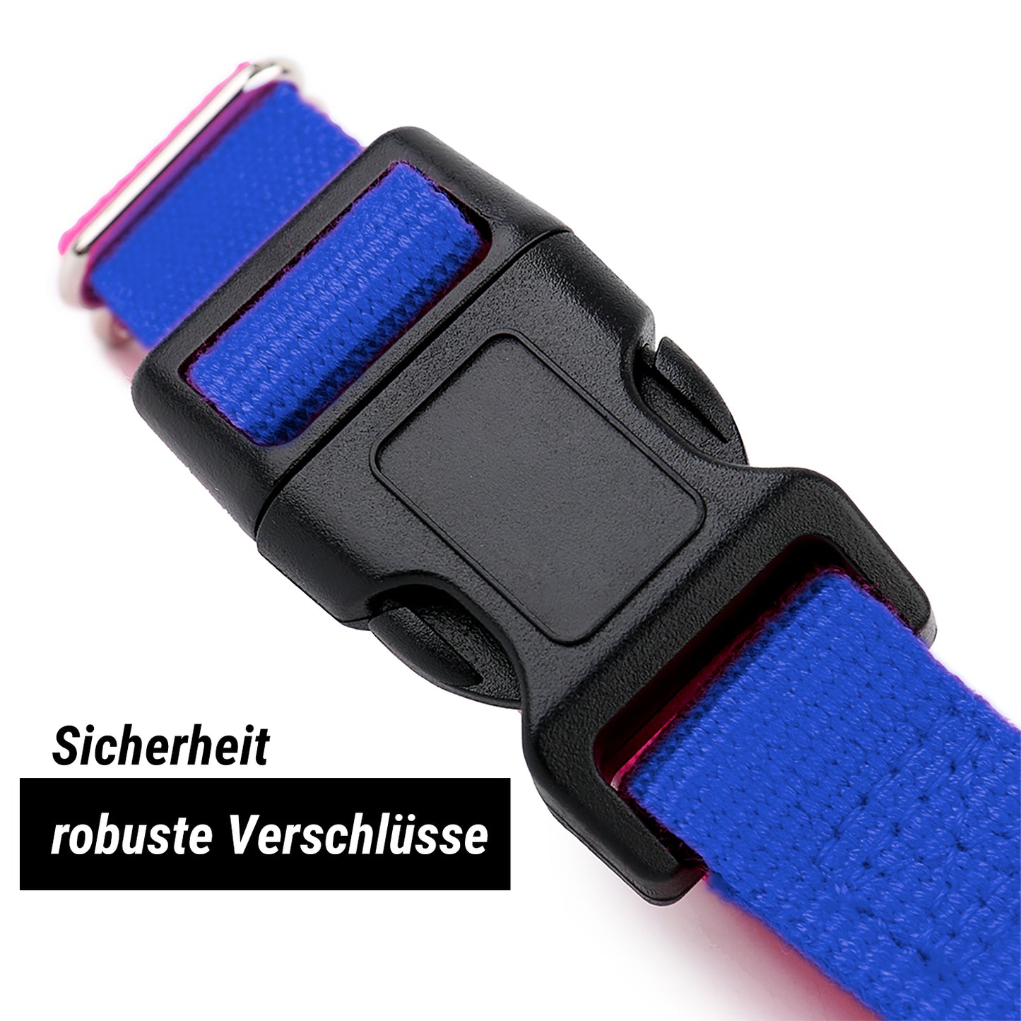 Hundehalsband, blau