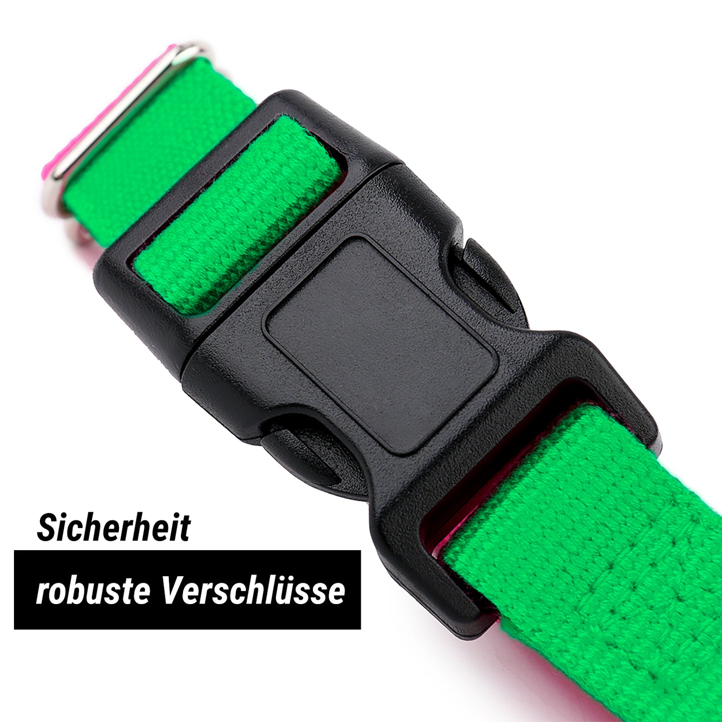 Hundehalsband, grün