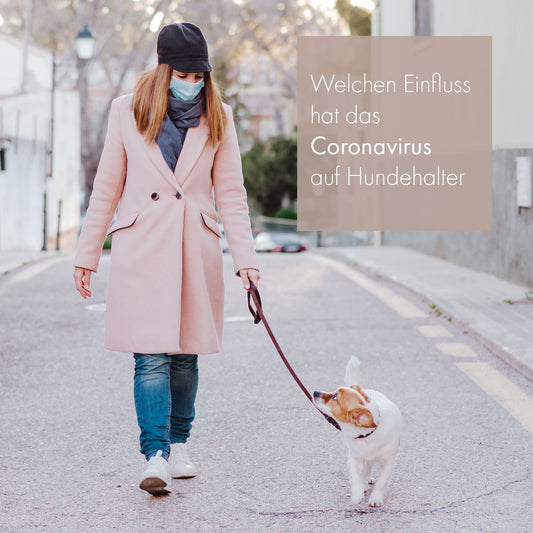 Auswirkungen des Coronavirus auf Hunde und Hundehalter
