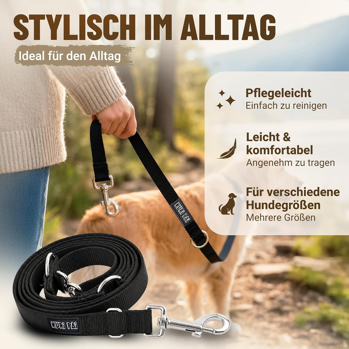 Rudelführer
