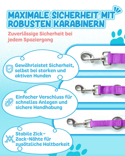 Veilchenflitzer