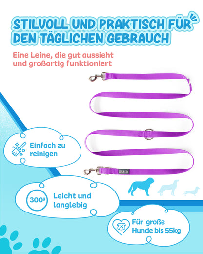 Veilchenflitzer