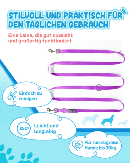 Veilchenflitzer
