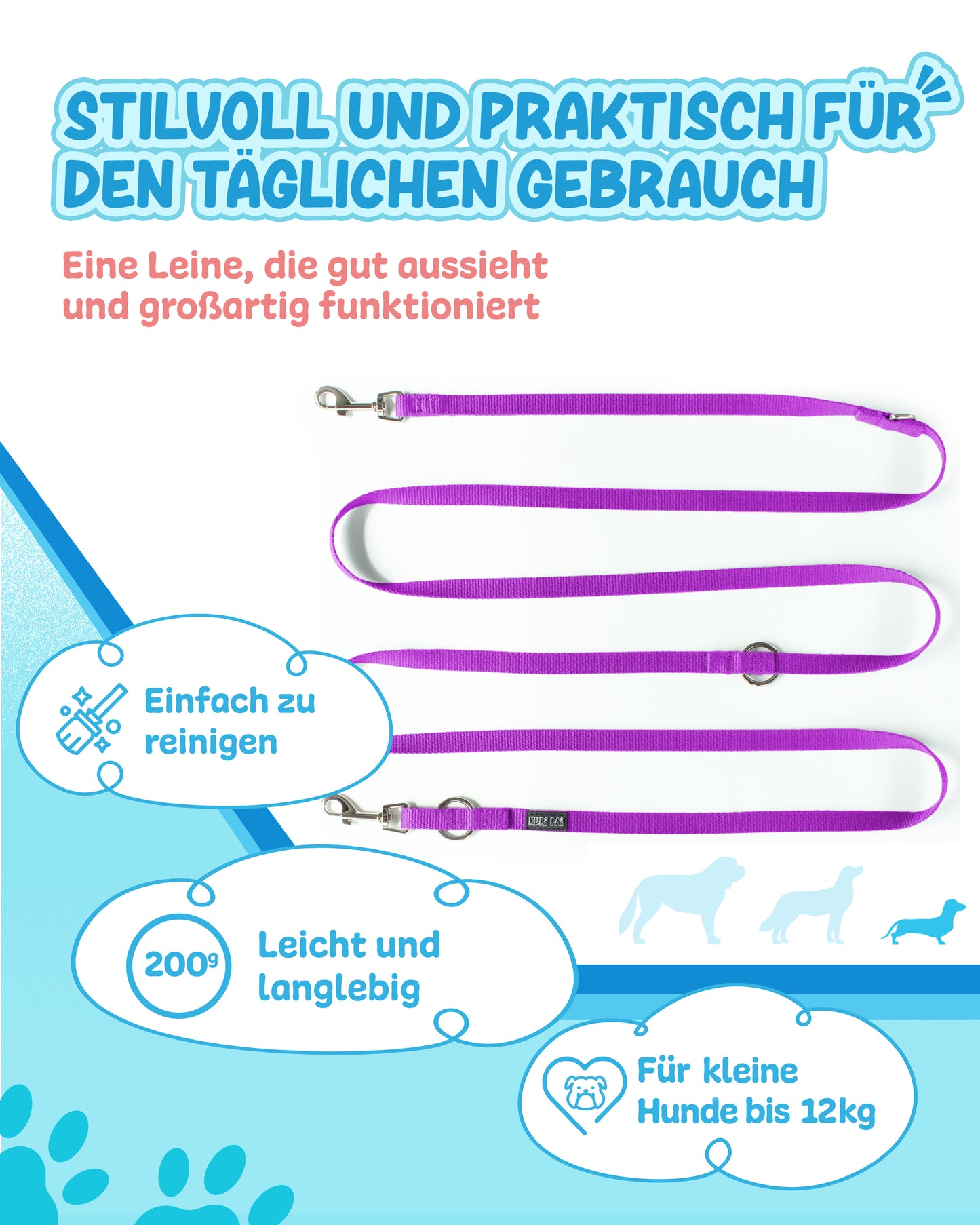Veilchenflitzer