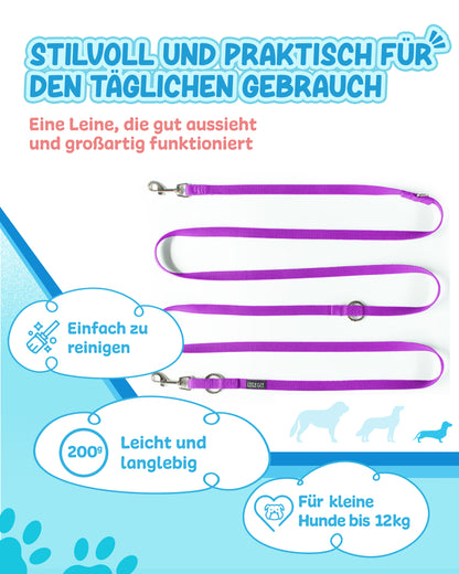 Veilchenflitzer
