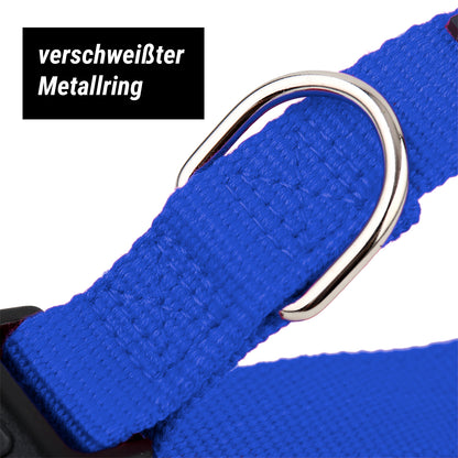 Hundehalsband, blau