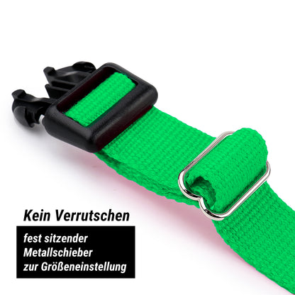 Hundehalsband, grün