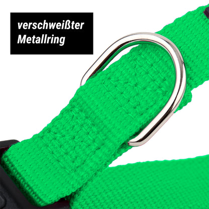 Hundehalsband, grün