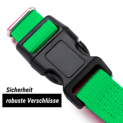 Hundehalsband, grün