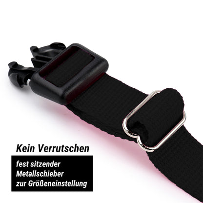 Hundehalsband, schwarz