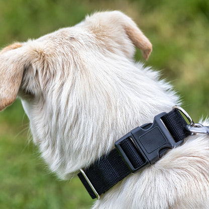 Extra breites Hundehalsband, schwarz