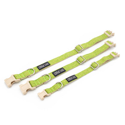 Halsband für Comet & Donner
