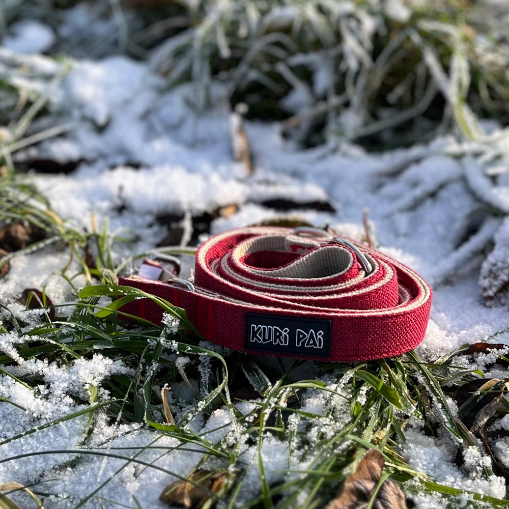 Rudolph
