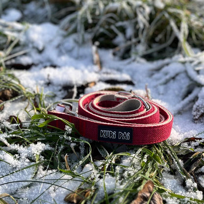 Rudolph