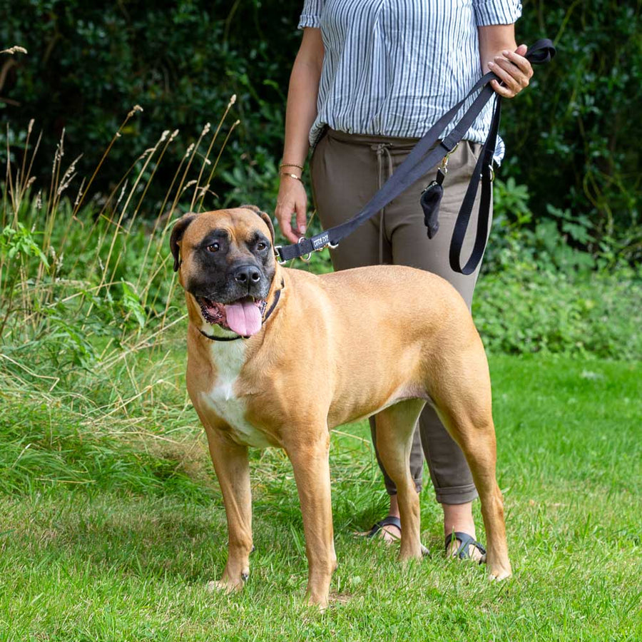 KURI PAI® Komfortable Hundeleinen